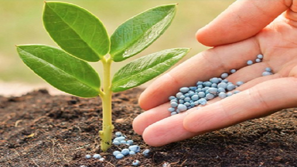 Fertilizers