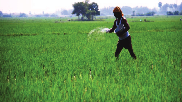 Pesticides